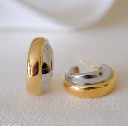 Dual tone earrings